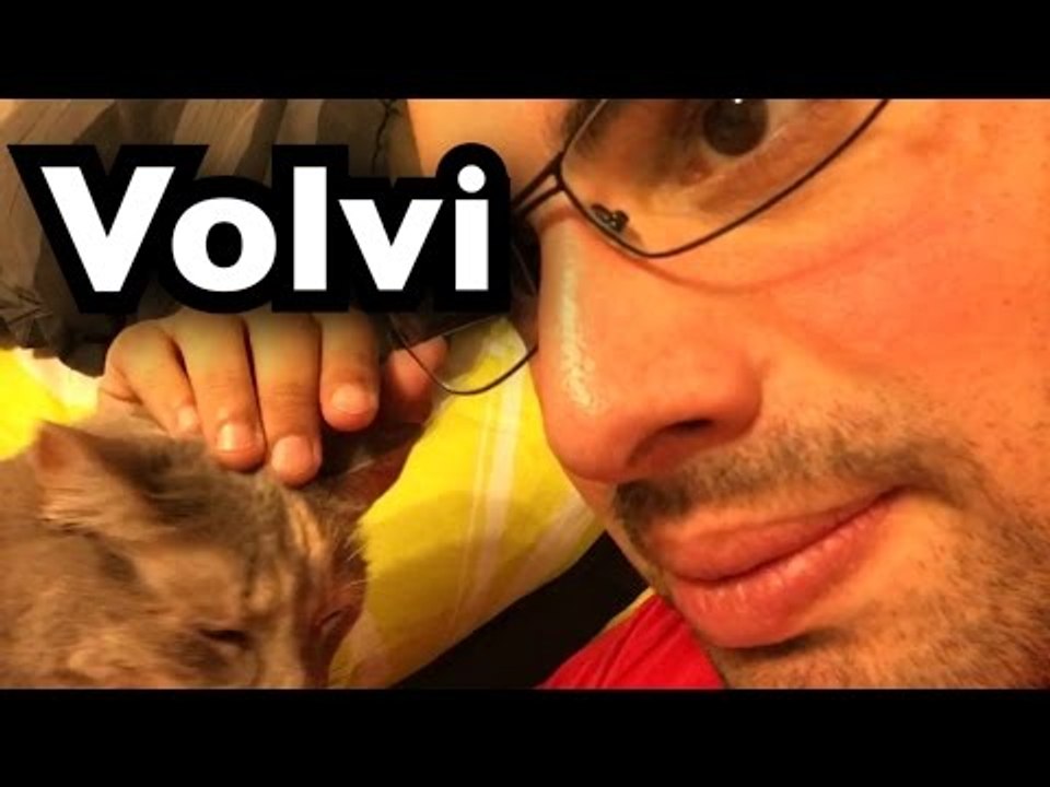 Volvi!