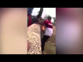 Mexico : Thugs set Fire to a dog, Dance to Ranchera music