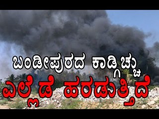 Bandipur Forest Fire Continues To Spread  | Oneindia Kannada