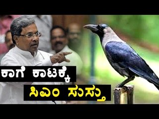Crow Blesses CM With Droppings | OneIndia Kannada