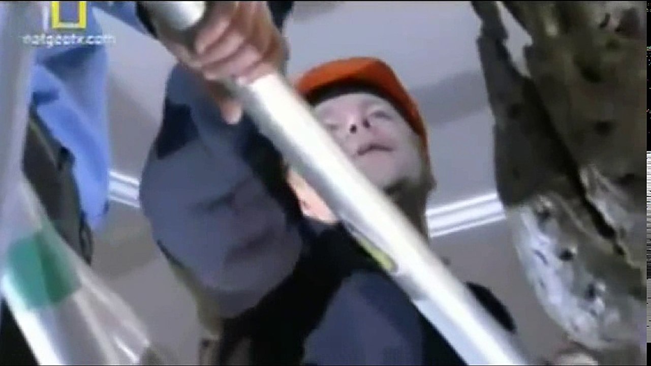 NATIONAL GEOGRAPHIC - DINOSSAUROS: A VIDA COMO ELA ERA - TIRANOSSAURO REX