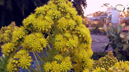 The fine details in the plants' factory