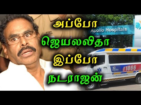 அப்போ ஜெயலலிதா இப்போ நடராஜன் | M. Natarajan admitted in Apollo hospital - Oneindia Tamil