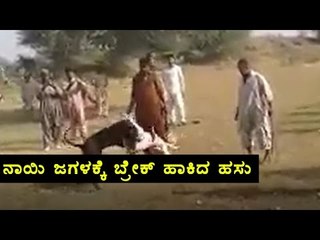 Oneindia condemns any kind of Animal cruelty | Oneindia Kannada