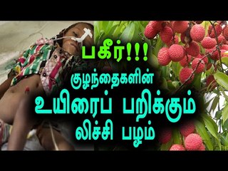 Litchi fruit is the reason for children death says study- Oneindia Tamil