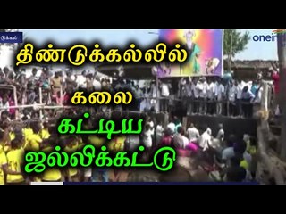 திண்டுக்கல்லில் கலை கட்டிய ஜல்லிக்கட்டு | Jallikattu celebration at dindigul- Oneindia Tamil
