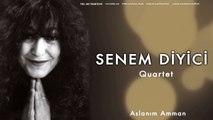 Senem Diyici Quartet - Aslanım Amman [ Tell Me Trabizon © 1998 Kalan Müzik ]