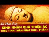 Những Lời Phật Dạy: Kinh Nhân Quả Thiện Ác Theo Tinh Thần Phật Học Phần 1