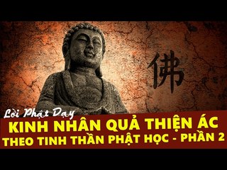 Những Lời Phật Dạy: Kinh Nhân Quả Thiện Ác Theo Tinh Thần Phật Học Phần 2