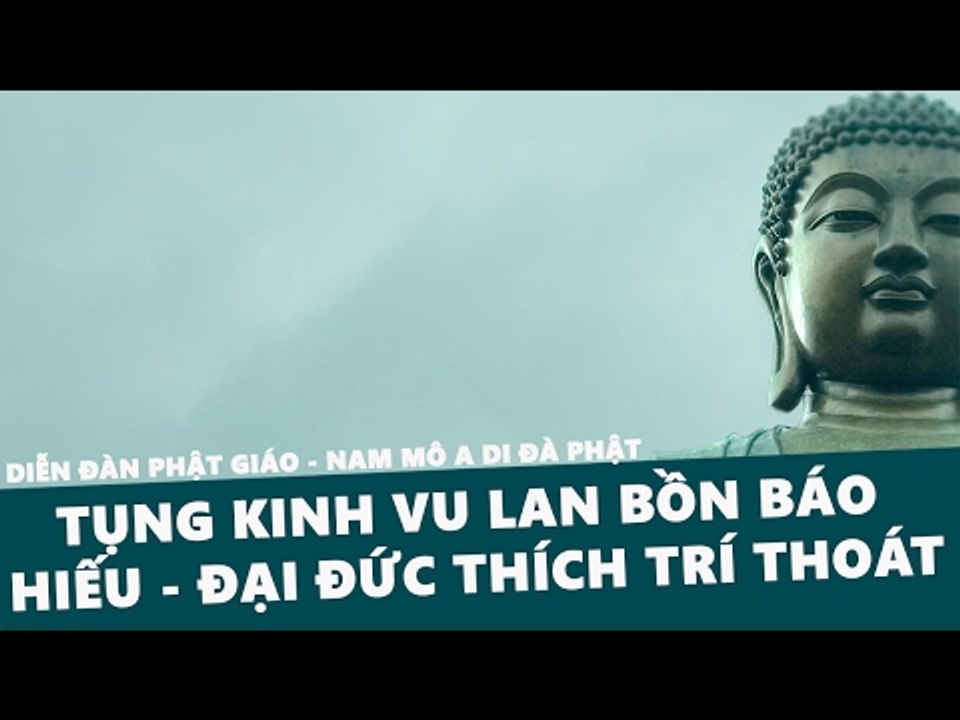 Nghe Tụng Kinh Vu Lan Bồn Báo Hiếu Cha Mẹ – Đại Đức Thích Trí Thoát – Những Lời Phật Dạy