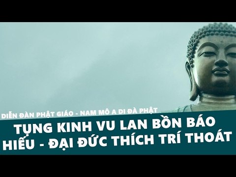 Nghe Tụng Kinh Vu Lan Bồn Báo Hiếu Cha Mẹ – Đại Đức Thích Trí Thoát – Những Lời Phật Dạy