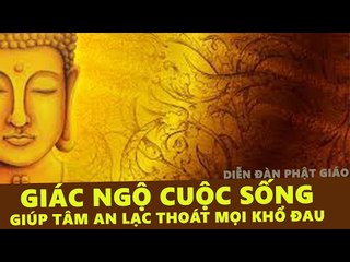 Cách Sống Giác Ngộ Giải Thoát - Tình Người Trong Cuộc Sống - Những Lời Phật Dạy