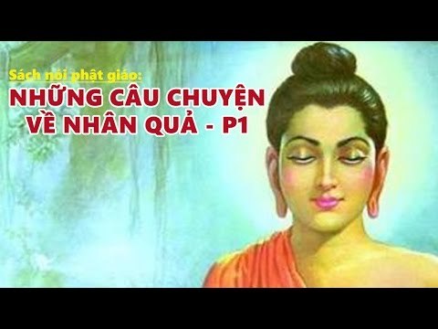 Kể truyện đêm khuya: Những Câu Chuyện Nhân Quả Phần 1 (Rất Hay) - Sách Nói Phật Giáo
