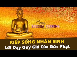 Kể Chuyện Đêm Khuya: Lời Dạy Quý Giá Của Đức Phật - Kiếp Sống Nhân Sinh