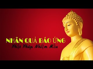 Nhân quả báo ứng - Phật pháp nhiệm màu rất hay | Những Lời Phật Dạy