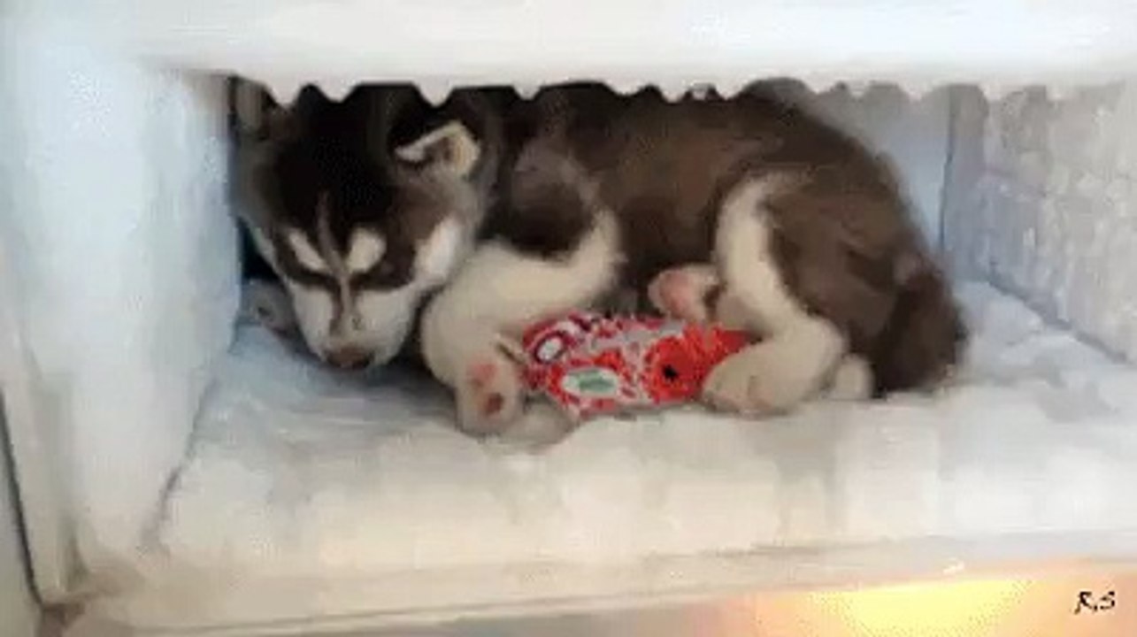 leave me alone