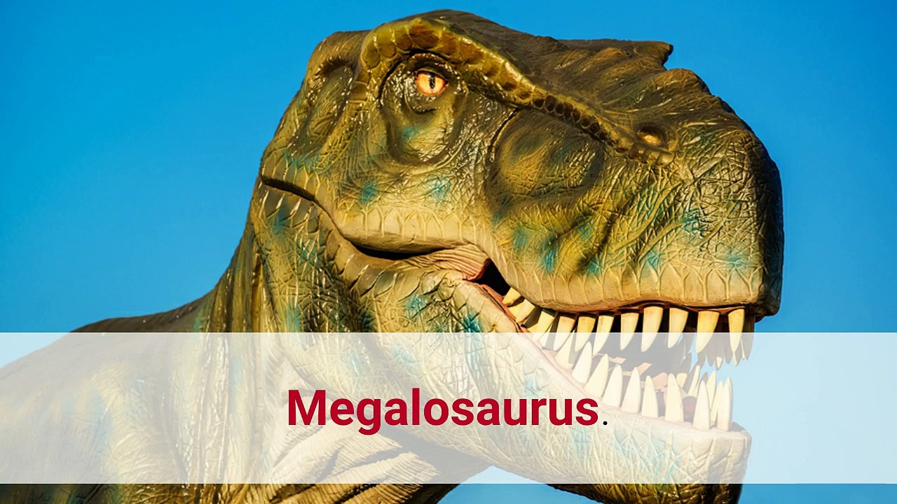 Fun Dinosaur Facts Episode 2