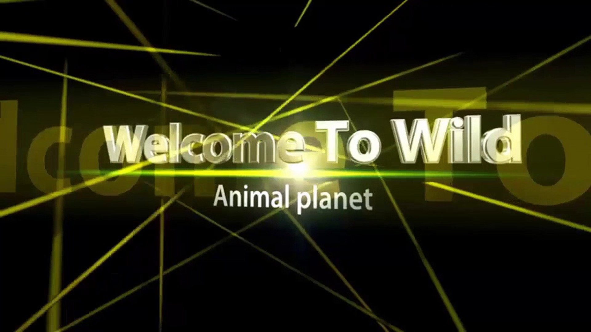 Animals - By the way, animals help animals before death