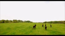 Horse Riding - Icelandic Horses for  rber4