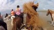 Horse Riding - Icelandic Horses for  dsvse