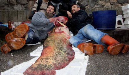 İznik'te 100 kiloluk dev balığı görenler gözlerine inanamıyor