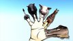 Animals Finger Family Nursery Rhymes | Elephant Pig Horse Finger Family Rhymes 3D Animation