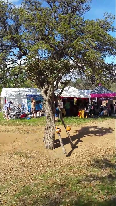 Quand tu croises un arbre qui marche... Déguisement incroyable