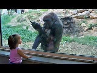 TRY NOT TO LAUGH or GRIN - Funny Kids Fails Compilation 2016 Part 10 by Life Awesome