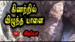 கிணற்றை உடைக்க மறுப்பதால் தவிக்கும் யானை | Elephant fall in Well- Oneindia Tamil