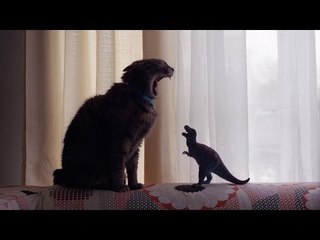 Funny Cat Fails Compilation | Fails of the Week (December 2016) ||  by Life Awesome