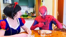 Pink Spidergirl & Spiderman vs T-Rex / Godzilla! w/ Frozen Elsa Fun Superhero Movie in Rea