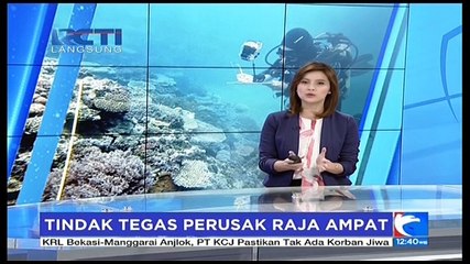 Tindak Tegas Perusak Raja Ampat