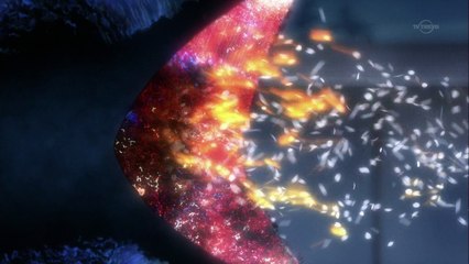 (HSS) Garo "Guren no Tsuki" épisode 9