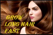 How to Grow Long Hair Fast Naturally || Home Remedies