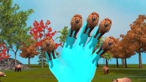 Top Animal Finger Family Rhymes Collection | Cartoon Animals Finger Family Songs | Nursery