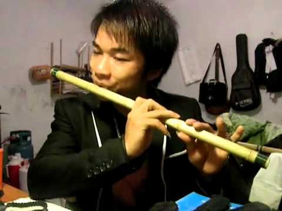 Lá diêu bông- Sáo trúc Mão Mèo