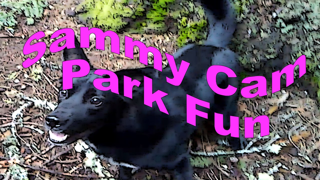 Sammy Cam - Park Fun
