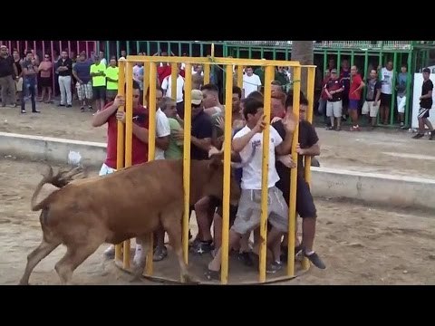 TRY NOT TO LAUGH - Funny Vines Fails Compilation 2016 || People Doing Stupid Things || Life Awesome