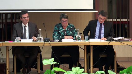 12. Bail rural sur la parcelle ZA 64 sise les Mimosas