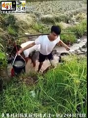 TRY NOT TO LAUGH Sexy Girl Fails Funny Video Compilation 5