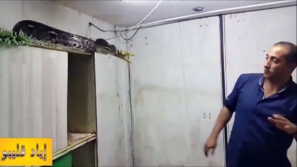Cet homme tente d’attraper un serpent qui n’a pas l’intention de se laisser faire