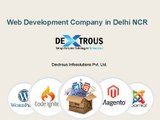 Web Development Company in Delhi NCR