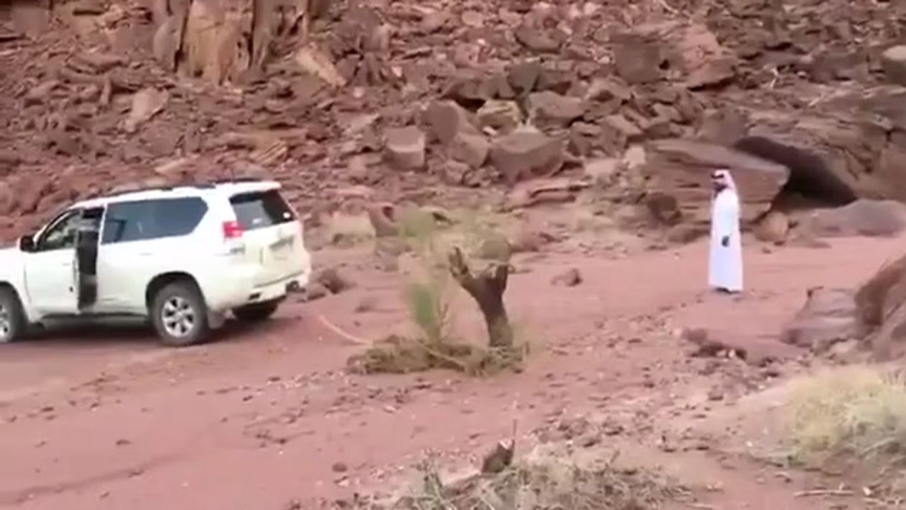 Il essaye d'arracher une souche d'arbre avec son SUV