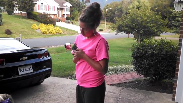 Elle relâche un bébé lapin dans sa pelouse mais le regrette immédiatemment