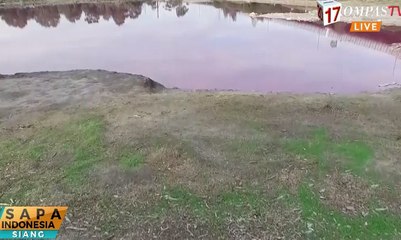 Aneh, Warna Danau Ini Berubah Menjadi Pink