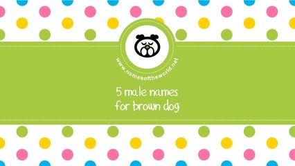 Male names for brown dog - the best names for your pet - www.namesoftheworld.net