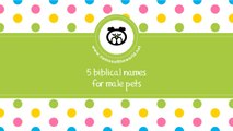 Biblical names for male pets - the best names for your pet - www.namesoftheworld.net