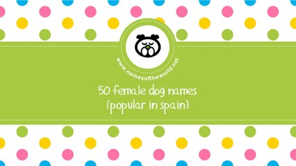 50 female dog names popular in Spain - www.namesoftheworld.net