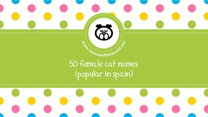 50 female cat names popular in Spain - www.namesoftheworld.net