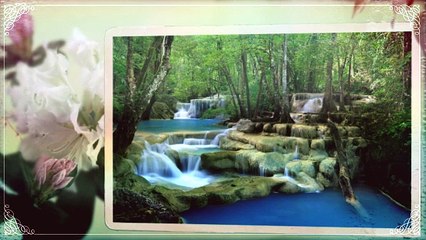 Khao Sok National Park Tour